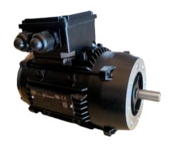 ELECTRIC MOTOR 2800 RPM 0.55KW 3/4H FILTERMIST SERIES TEE 3 PHASE T.E.F.C