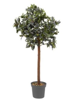 OLIVE TREE 120 CM RRP £65