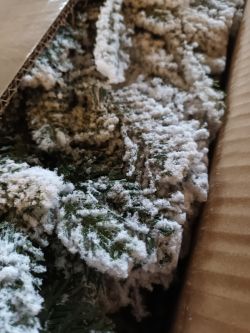 23 MICOZY CHRISTMAS TREES