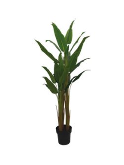 BRAND NEW ARTIFICIAL PLANTS ASPIDISTRA 150CM
