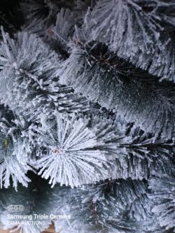 (L110) - 1 PALLET CONTAINING APPROX 6 BRAND NEW ARTIFICIAL XMAS TREES SNOW EFFECT