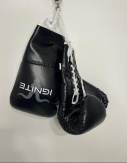 PALLET OF 100 PAIRS OF IGNITE BOXING GLOVES