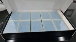 AXYGEN ROBOTIC TIPS VT-250-R-S 250ΜL VIOLET RACKED STERILE FITS AGILENT 10X SLEEVES