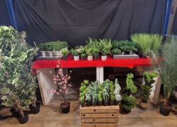 NEW SUMMER GARDEN LOT, ,OUTDOOR ARTIFICIAL PLANTS , RRP £1000