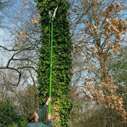 **NEW**FROM NOVICE TO PRO: VERSATILE TELESCOPIC TREE PRUNING TOOL>>DELIVERY AVAILABLE<<
