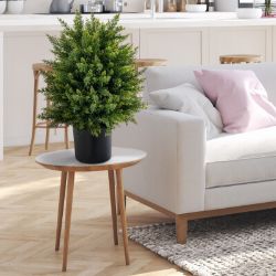 **NEW**EACH TREE FEATURES EVERGREEN LEAVES AND LUSH GREENERY>>DELIVERY AVAILABLE<<