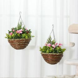 **NEW**INDOOR AND OUTDOOR ELEGANCE: LISIANTHUS POT PAIR>>DELIVERY AVAILABLE<<