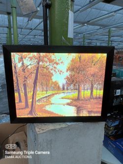 BOX 244 - CONTAINING 1 LIGHT UP 3D RIVER WALL PICTURE - NO PLUG