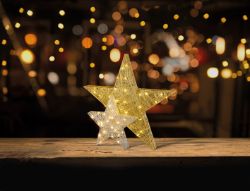 PREMIER 46CM SILVER ROSE GOLD DOUBLE LAYER STAR 30 WARM WHITE LEDS DECORATION[GOLD & SILVER]