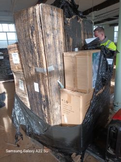 PALLET OF CHRISTMAS TREES AND GARDEN STATUES