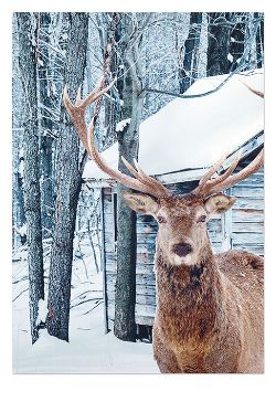 HUGE! 210X140CM REINDEER PICTURE FABRIC BACKDROP CHRISTMAS XMAS WALL DECORATION