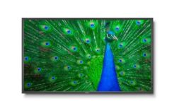 NEC MULTISYNC 65