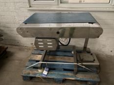 Small Belt Conveyor 950 x 450mm Belt and a Digital Scale