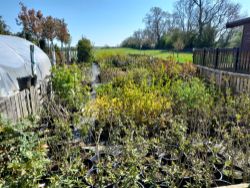 Assets and Stock of a Prominent Garden Nursery including Commercial Motor Vehicles (Viewing Strongly Recommended)