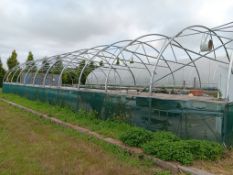 Galvanised steel framed poly tunnel, approx. 20 x 8m with fitted Wright Rain Macpenny mist control