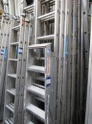 Large quantity various ladders