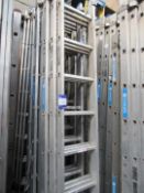Large quantity various ladders