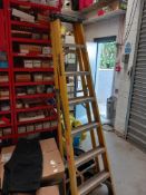 Youngman Electricians Stepladder