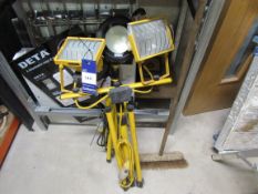 2 x tripod lights 110v