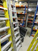 9 tread aluminium step ladder