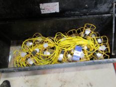 Quantity of LED festoon lighting