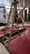 Werner 7 Tread Fibreglass Swingback Stepladder