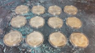 Twelve 2013 silver dollars, stamped 1oz. Fine Silver One Dollar approx.31.3g each, 375.6g total
