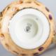 A RARE ROYAL WORCESTER FRUIT PAINTED LOVING CUP - Image 2 of 2