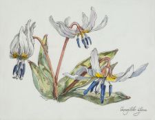 ANELIA EMILOVA PASHOVA /b.1988/ "Wild nymph flower"