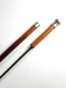 Late 19th/early 20th century sword cane