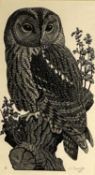 Charles Frederick Tunnicliffe OBE RA (1901-1979) Wood Owl