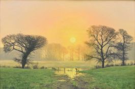 Anthony Gibbs (b.1951) Sunrise over Fields