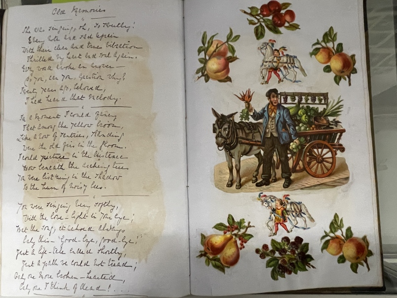 19th cent. Ephemera: Victorian scrapbook/journal dated 1879 sixty pages of miscellaneous scraps with - Image 6 of 9