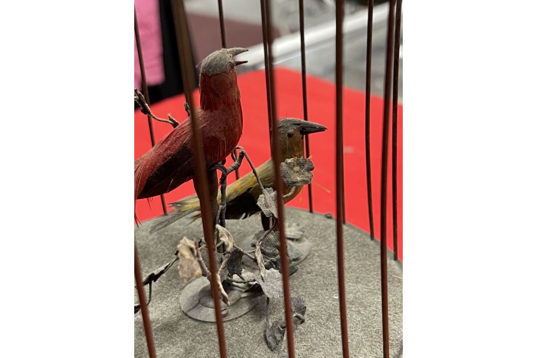 19th/early 20th cent. Continental bird automaton, brass cage, two songbirds on branch with - Image 6 of 9