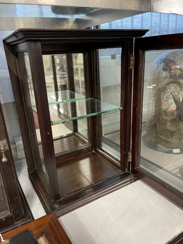 Early 20th cent. Mahogany display cabinets, glazed to three sides with a glass shelf, a pair. 19½ - Image 6 of 7
