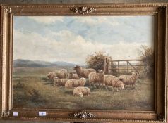 William V. Tippett British (1833-1910): Oil on canvas, sheep resting in a pasture with hills in