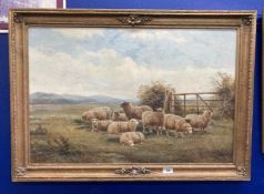 William V. Tippett British (1833-1910): Oil on canvas, sheep resting in a pasture with hills in