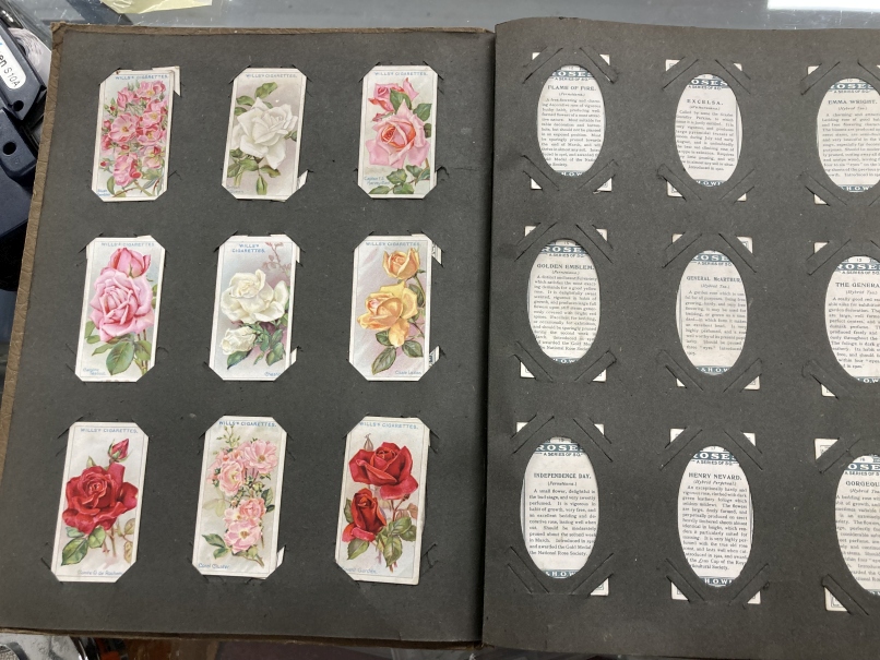 Cigarette & Tea Cards: Wills, Do You Know?, Roses, De Reszke photocards of animals, Churchmans Kings - Image 3 of 3