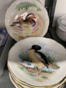 20th cent. Ceramics: Crown Staffordshire, Peter Scott Wildfowl Collectors Plate, full set of twelve,
