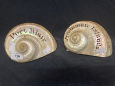 Early 20th cent. Carved pair of seashells, Port Blair and Andaman Islands. 6½ins.