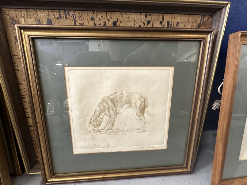 20th cent. American School: Alan Ellison watercolours and sketches of horses and dogs. (6) - Image 2 of 3