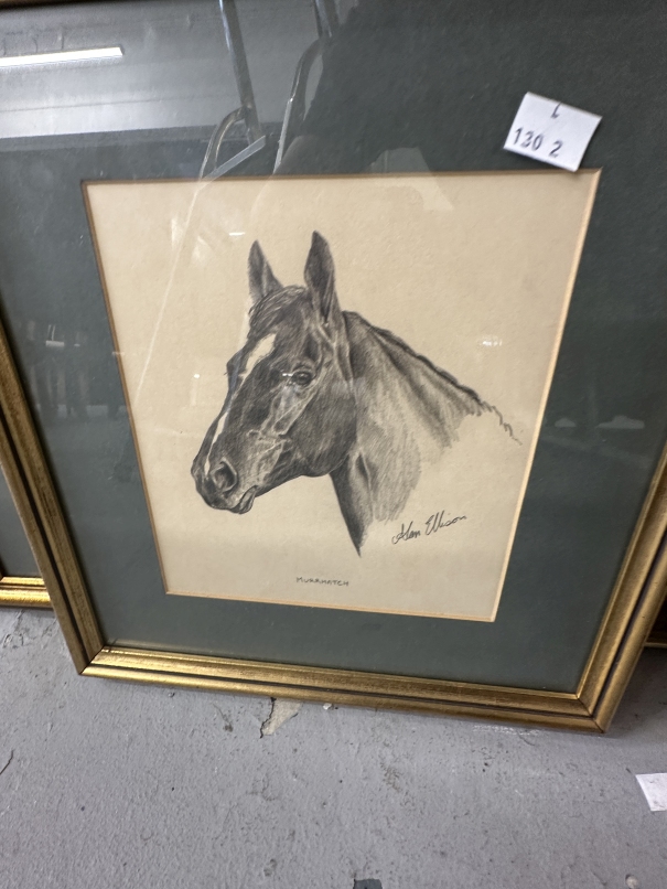 20th cent. American School: Alan Ellison watercolours and sketches of horses and dogs. (6) - Image 3 of 3