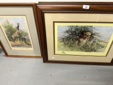 The Waterhole Trilogy 1, 2, and 3. 13ins. 9ins. Cheetah. 17ins. x 12ins. The Crossing. (5)
