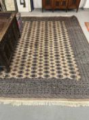 Carpets & Rugs: