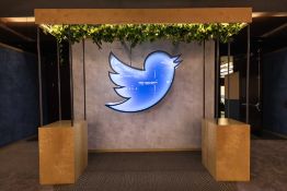 Neon Twitter Bird Light Electrical Display