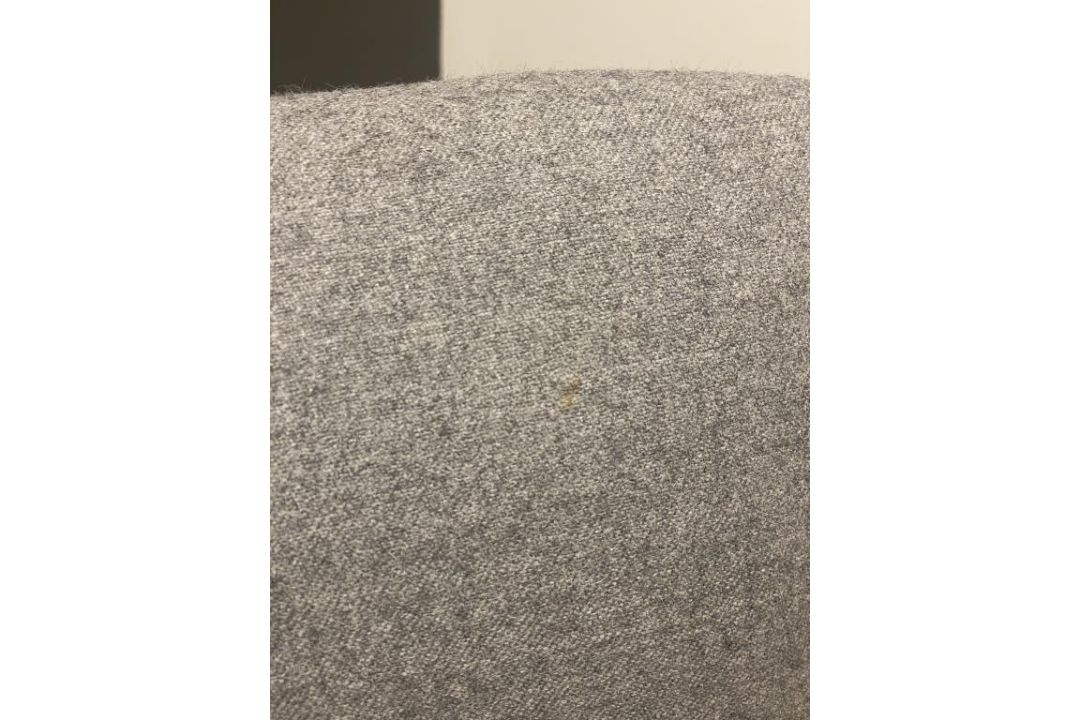 DWR Risom Rocker Chair Walnut / Heather - Image 5 of 7