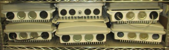 Ciena Delivery Switches