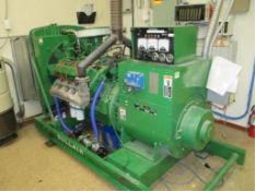 International Standby Generator
