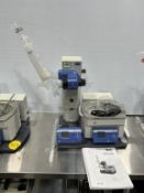 IKA RV 10 Rotary Evaporator