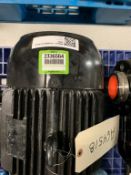 Weg Motor